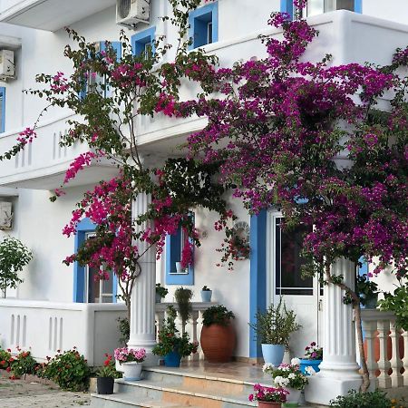 Romantika Shengjin Ngoại thất bức ảnh